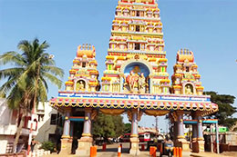 National Conferences