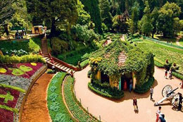 National Conferences